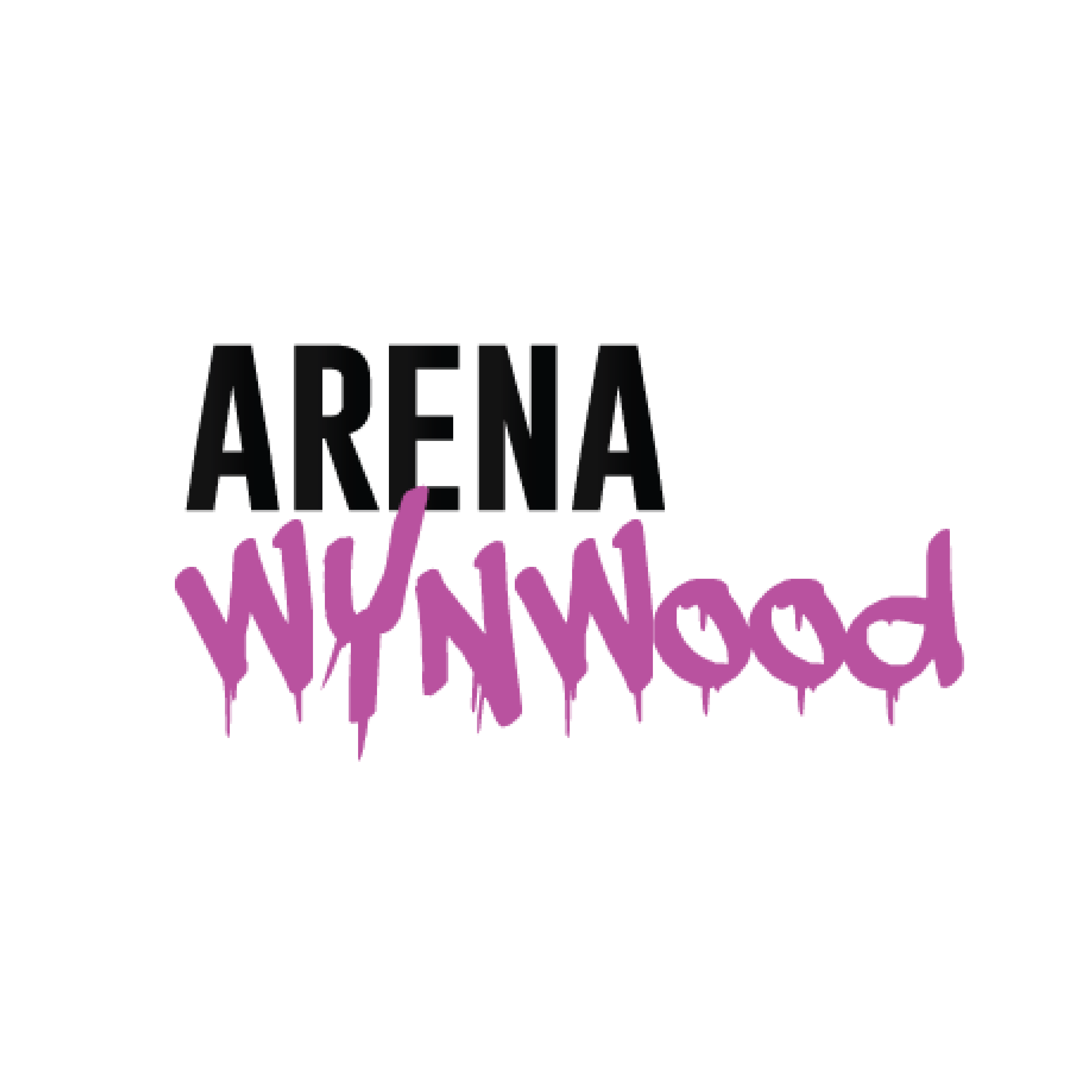 Arena Wynwood